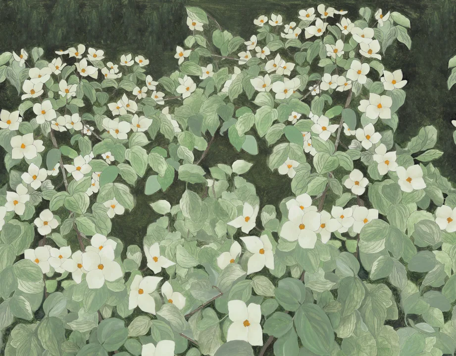Naturens duk: White Parkflowers