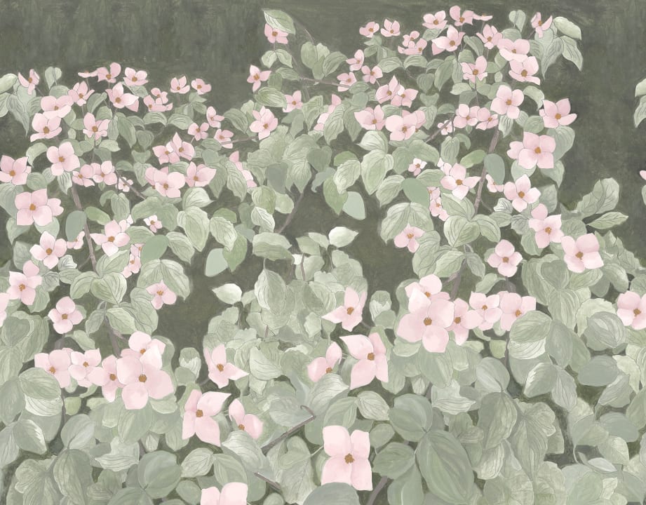 Abbracciate la natura con i fiori rosa del parco
