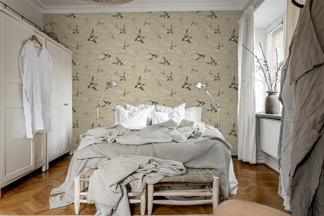 Hirondelles beige sereines
