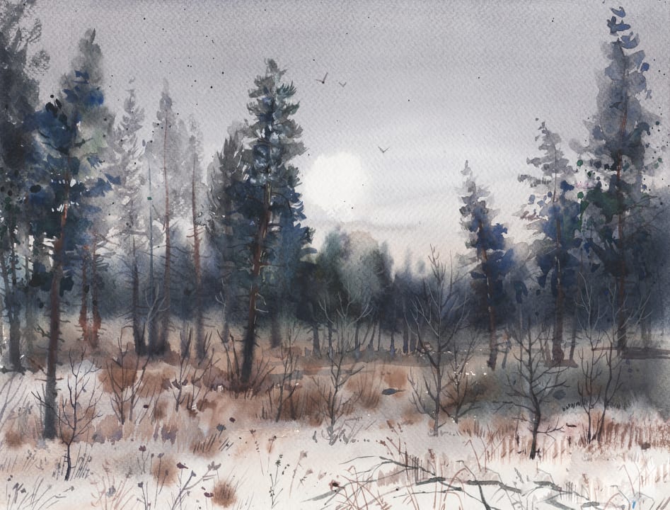 Symphonie enchanteresse des bois