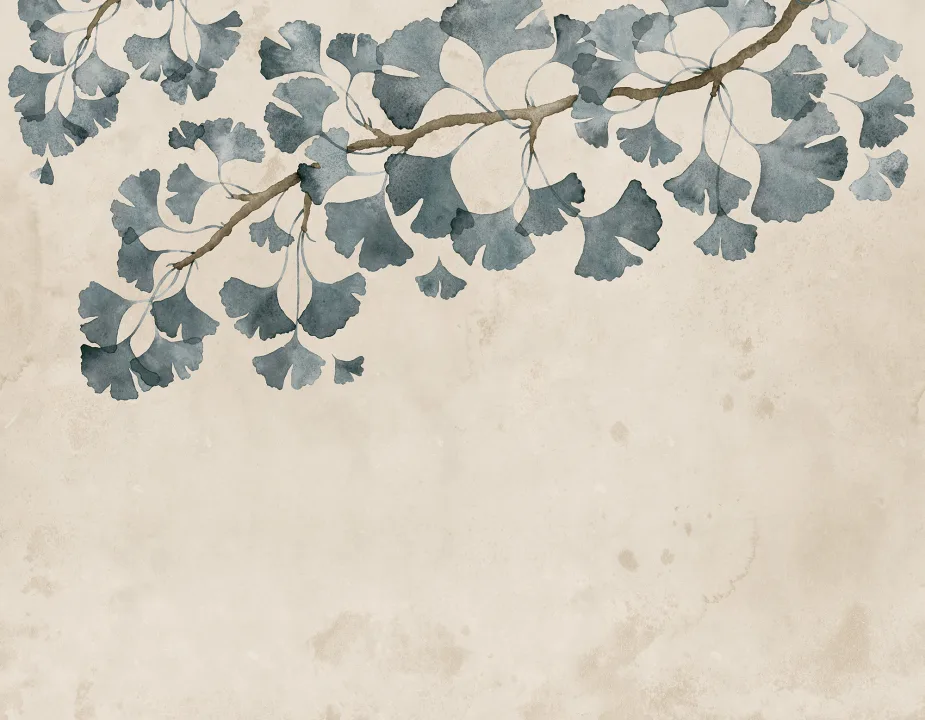 Ginkgo Grace