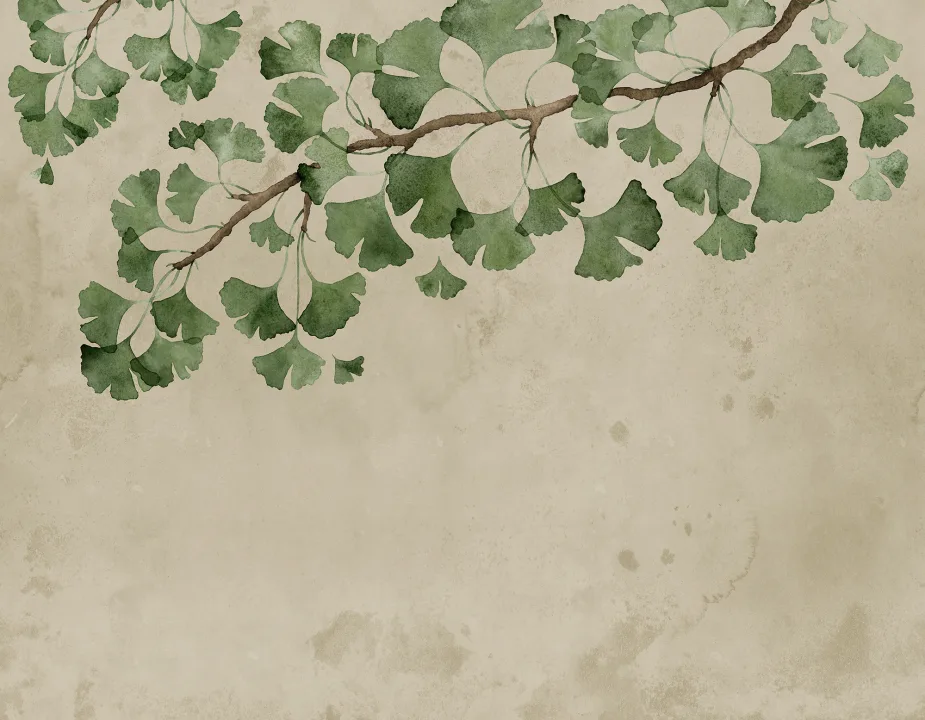 Gingko Grace