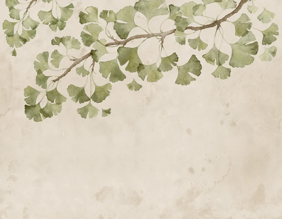 Ginkgo Grace