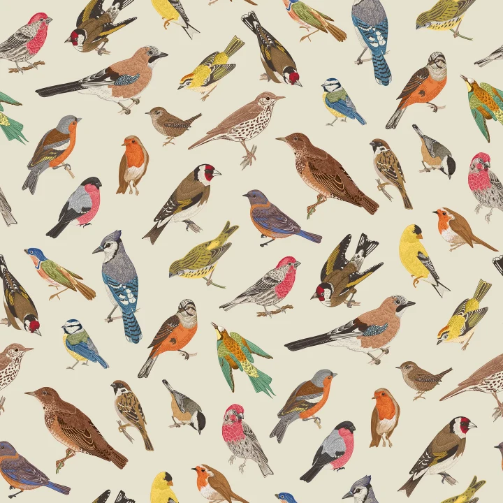 Harmonie aviaire colorée