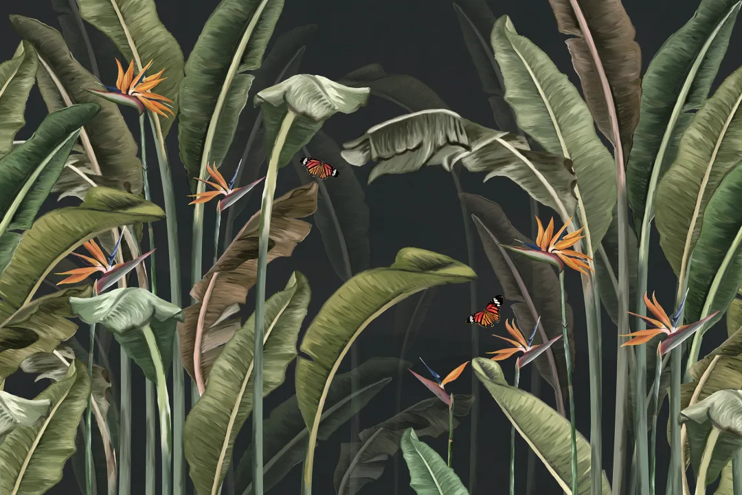 Magie de la jungle de minuit