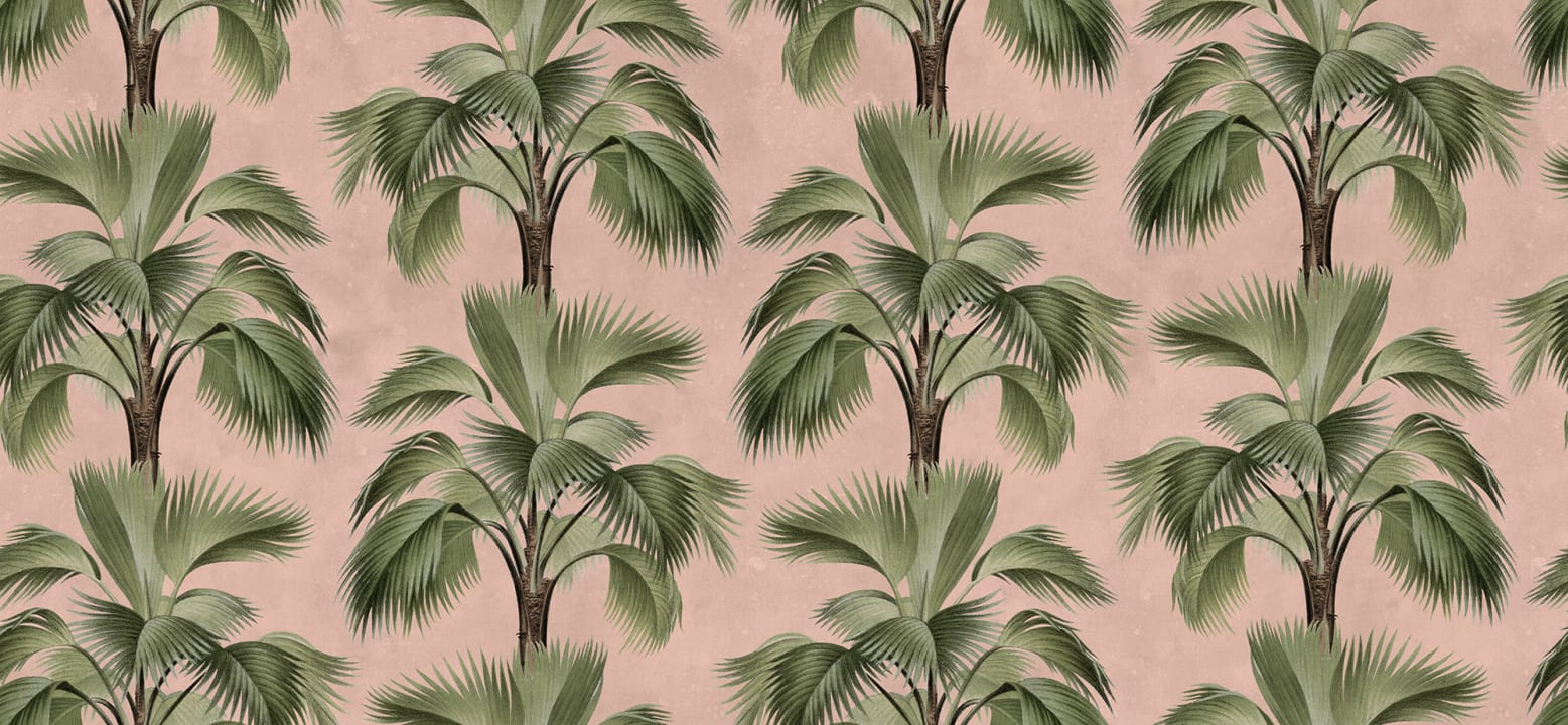 Palm Panorama