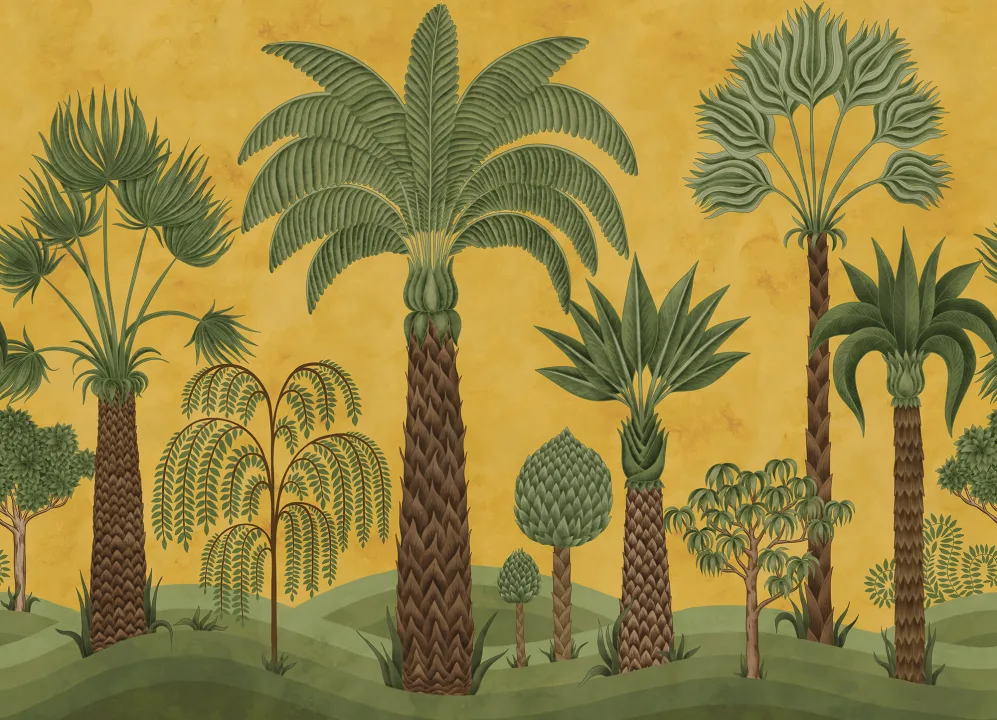 Canopée tropicale