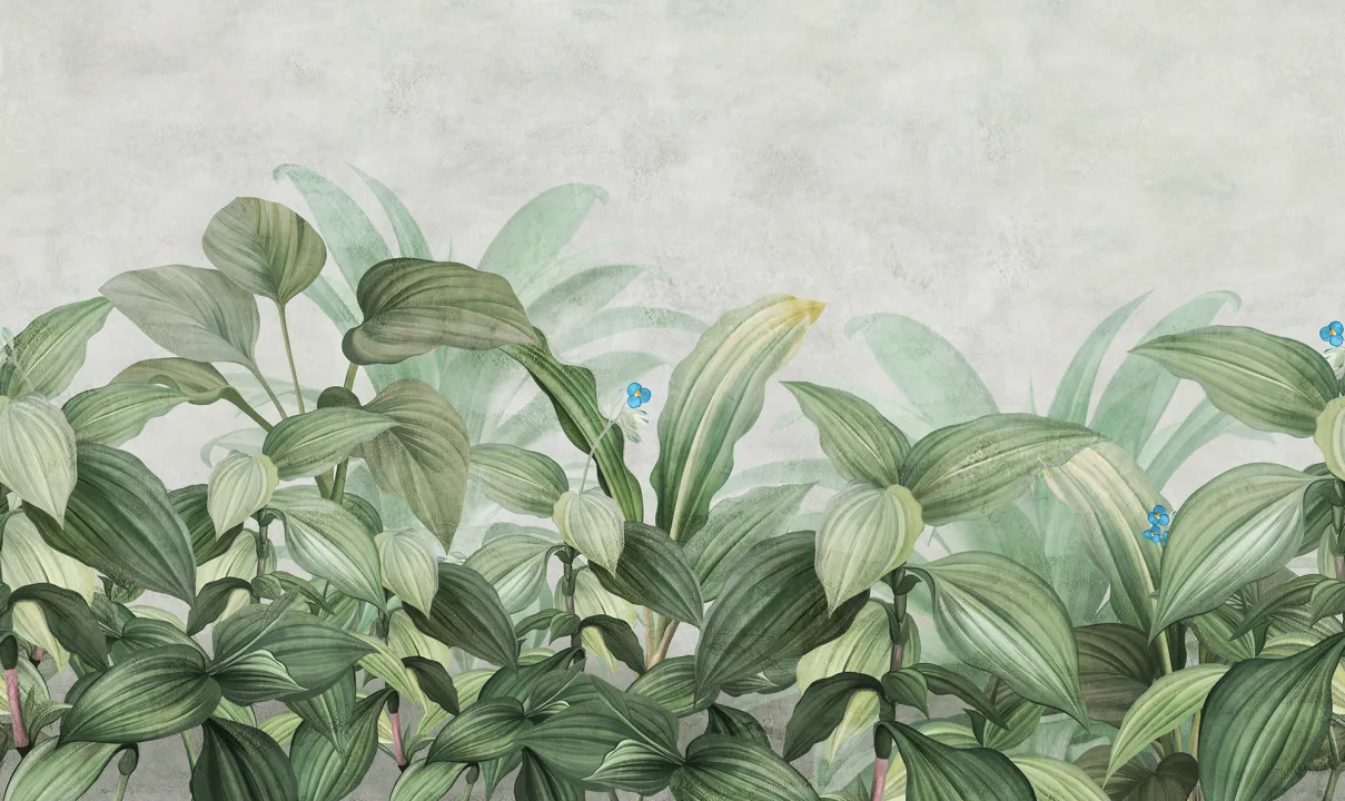 Lush Hosta Dream