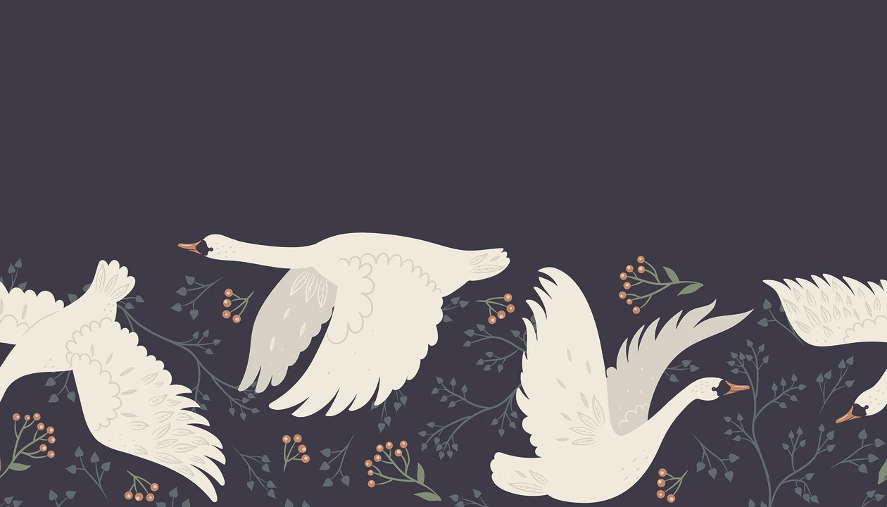 Elegance in Flight