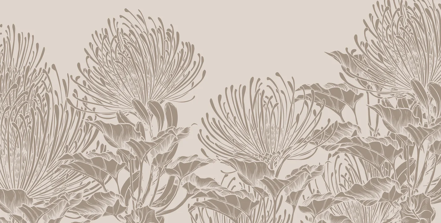 Protea Elegans