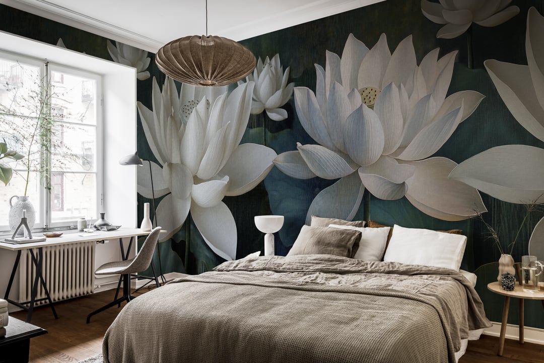 Lotus Tranquility