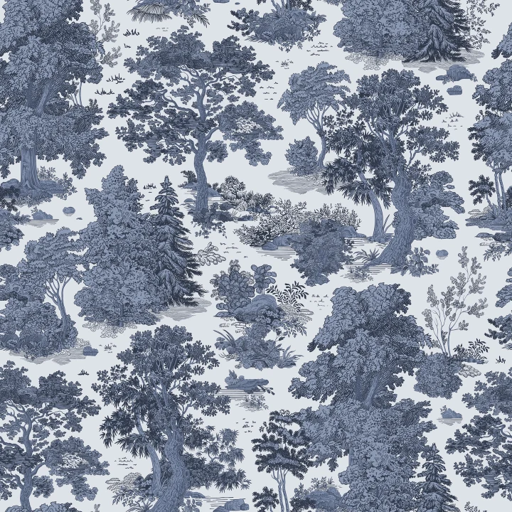 Enchanted Forest