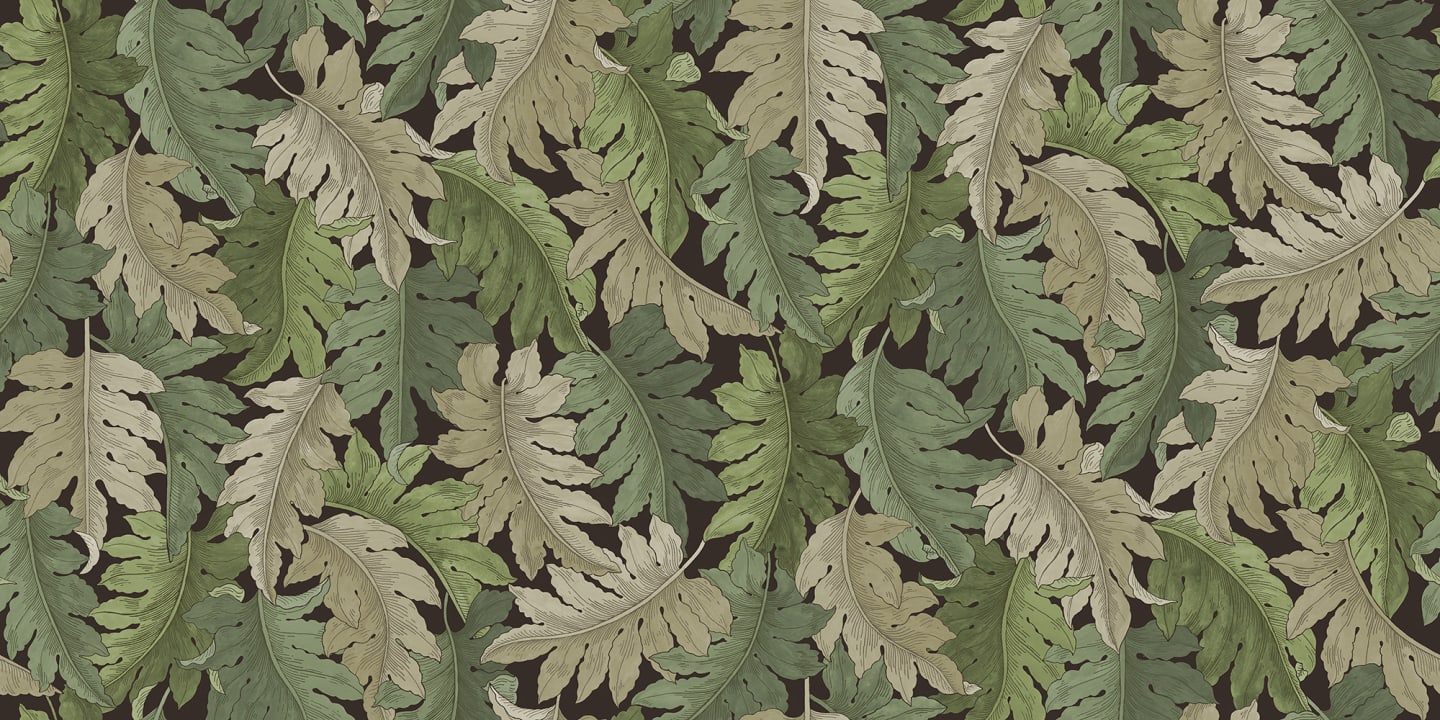 Elegant Fern Canopy