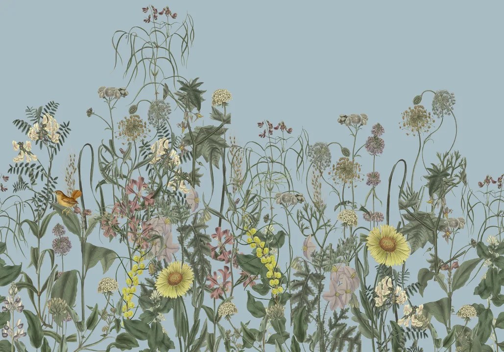 Embrace the Wild Blooms