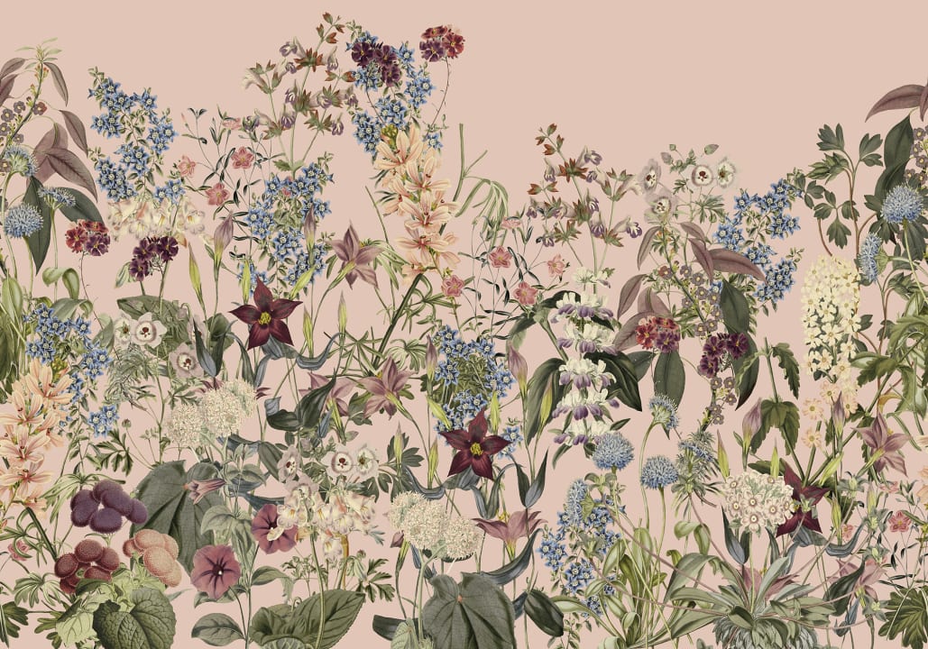 Embrace Nature with Summerland Charm