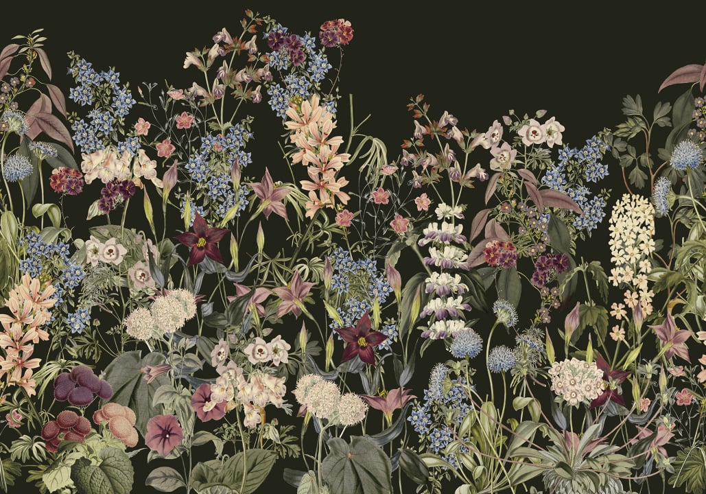 Fortryllende blomsteroase i sort