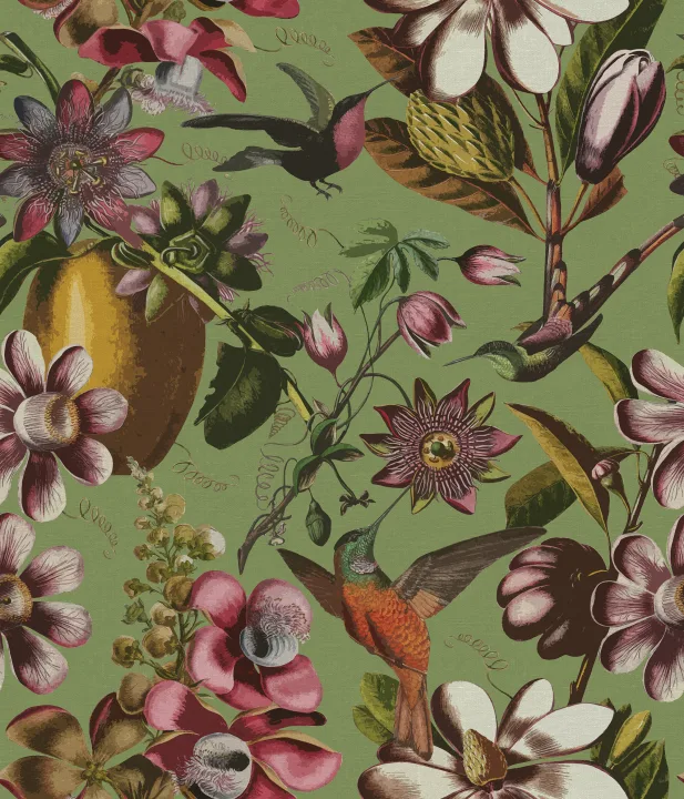 Kolibri's Tuin Plezier