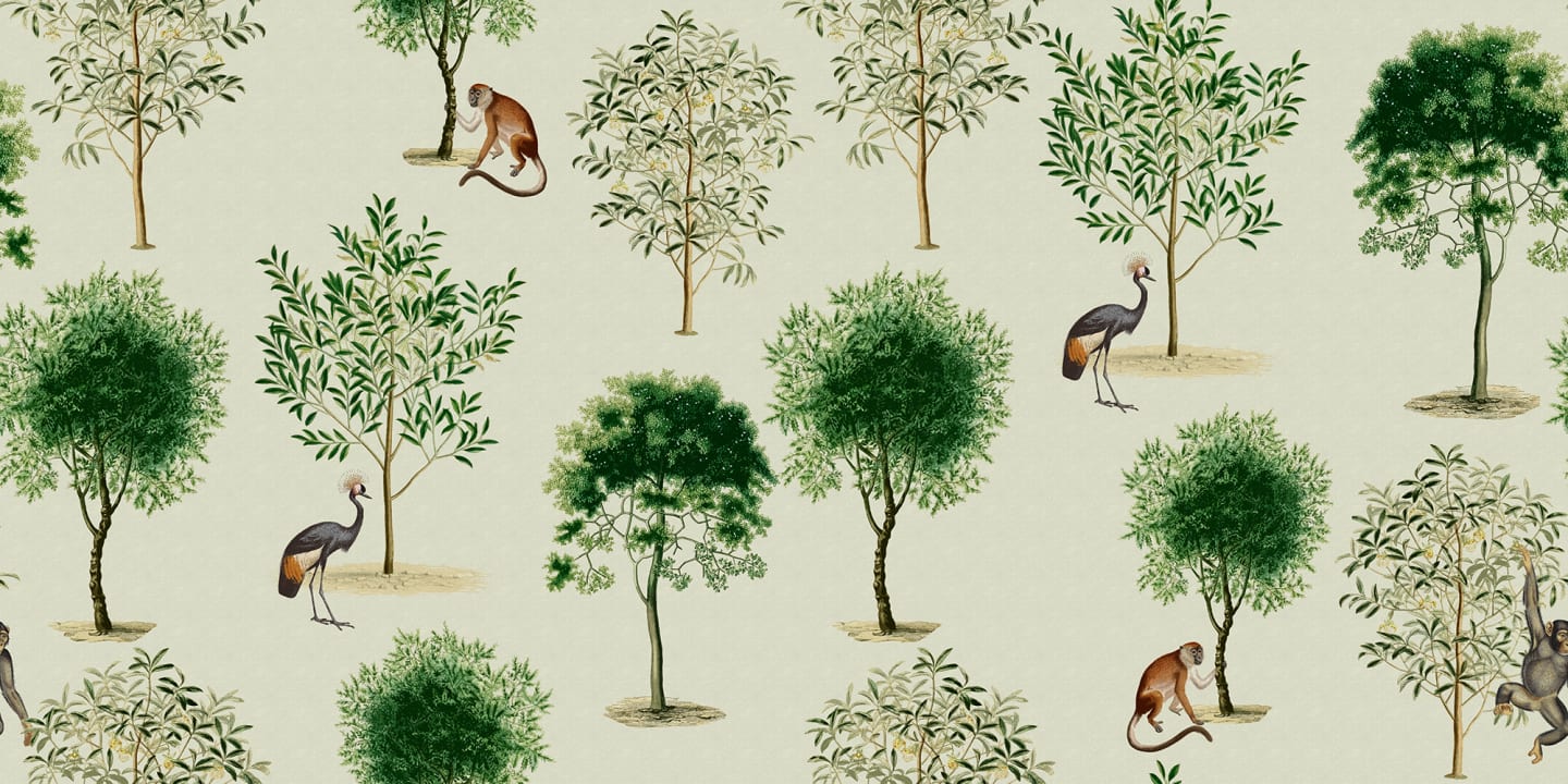 Sérénité sauvage : Fond d'écran singes et arbres