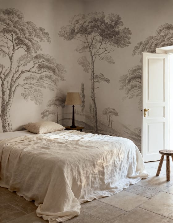 Explore the Serenity of Graphite Tree Studies