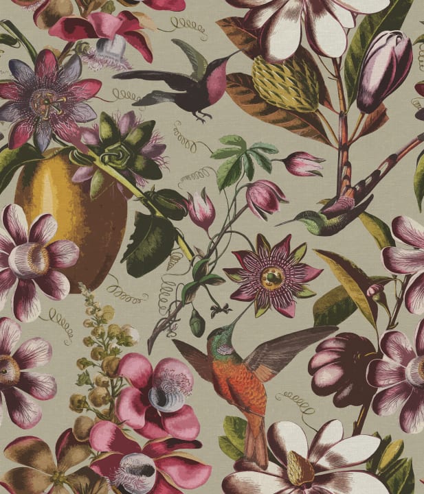 Embrassez la danse des colibris