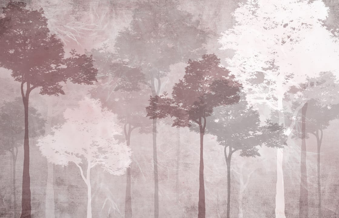 Upplev stillhet med Silent Woods