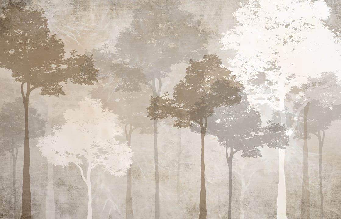 Coucher de soleil serein dans les bois