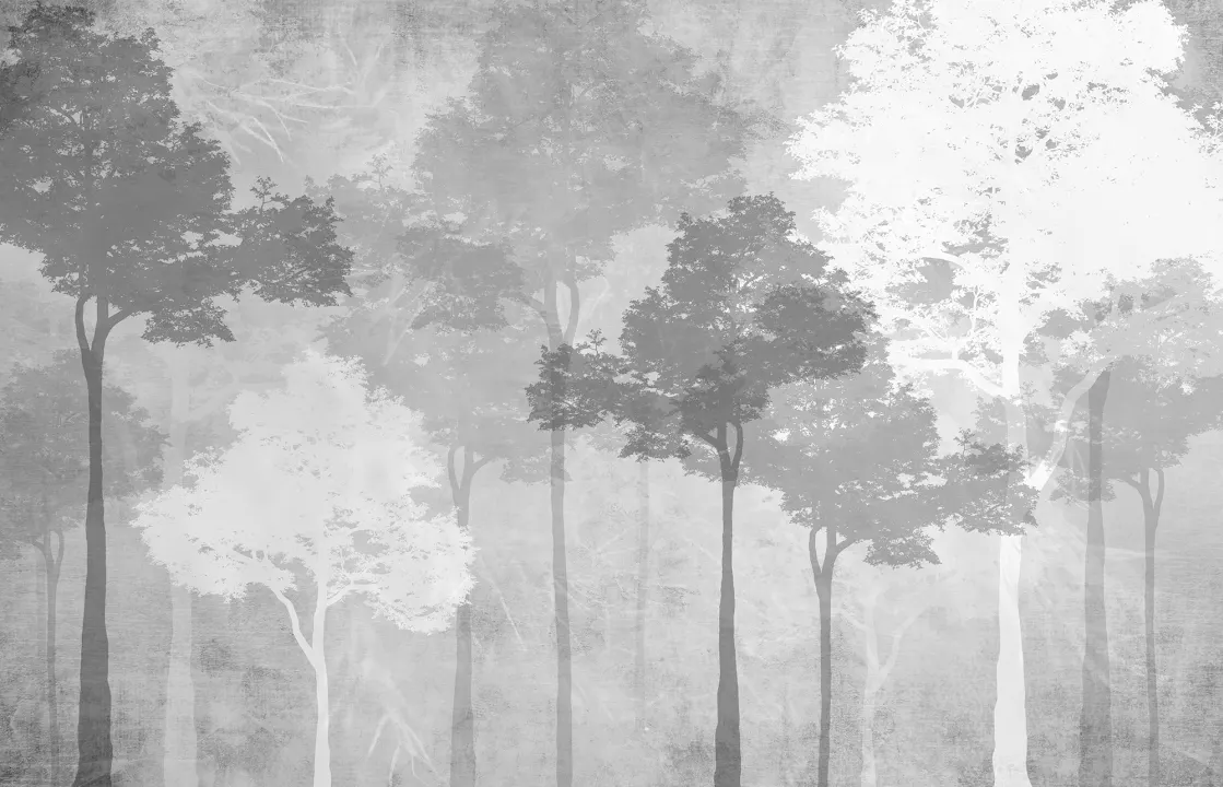 Embrace Serenity with Silent Woods