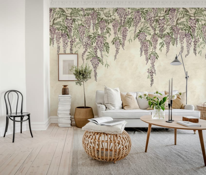 Wisteria Wonder