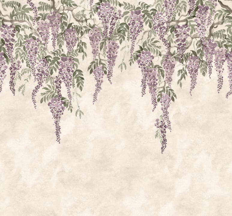 Wisteria Wonder