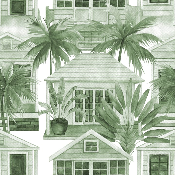 Welcome to Your Palm Paradise
