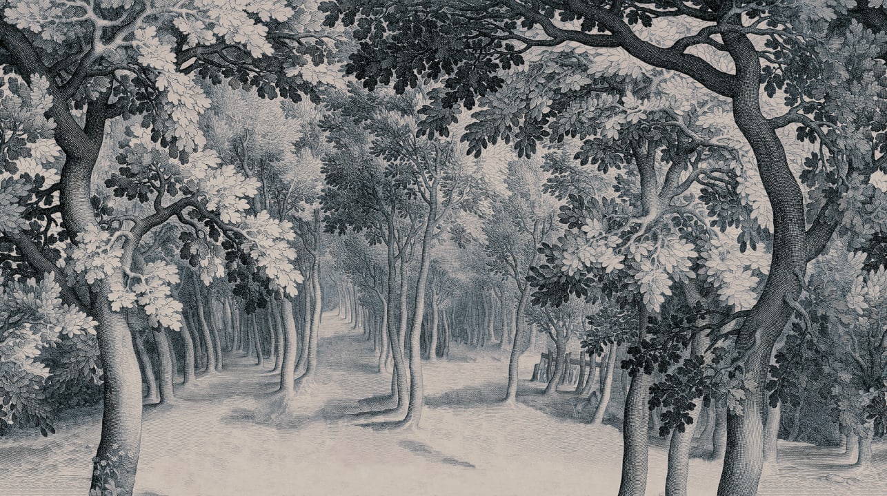 Discover the Serenity of Forest Engraving