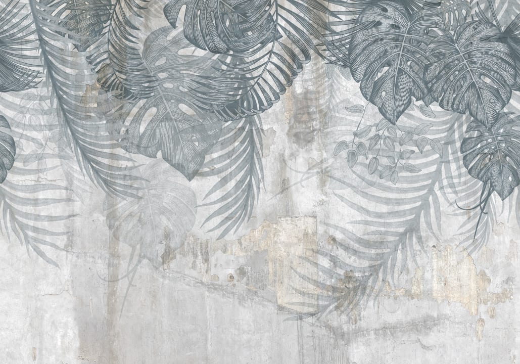 Élégance de la feuille de monstera