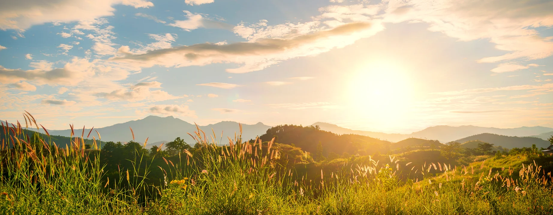 Accueillez une Nouvelle Aube avec Sunrise Hills