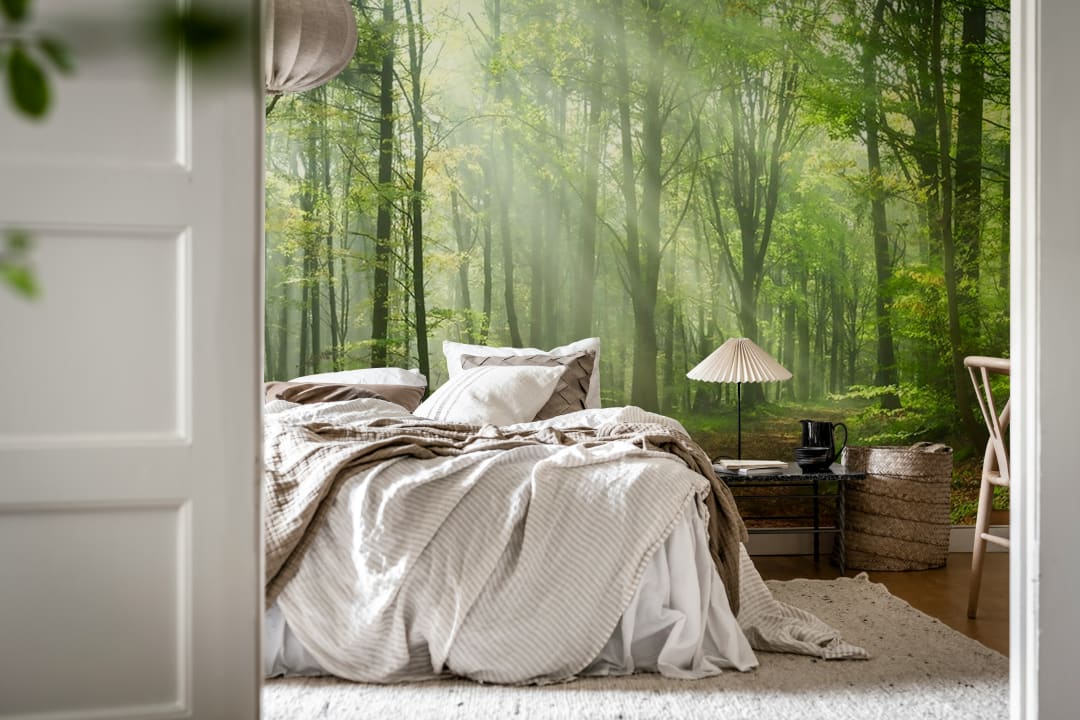 Adoptez la nature sous des feuilles baignées de soleil