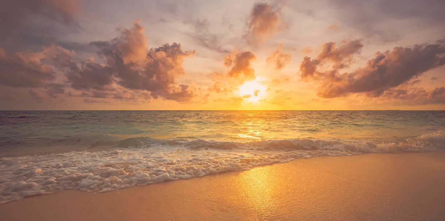 Embrace the Dawn