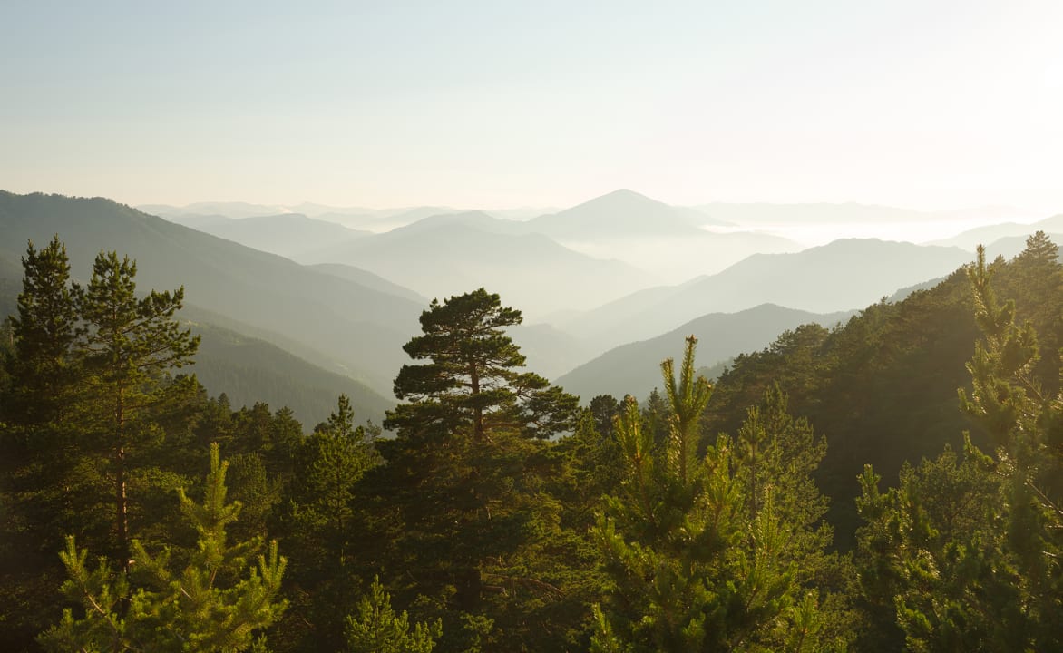Respirez l'air de la montagne