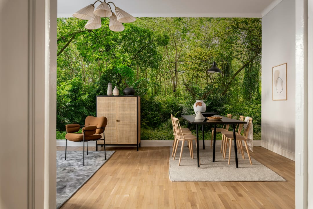 Embrassez la Nature avec une Forêt Estivale Luxuriante