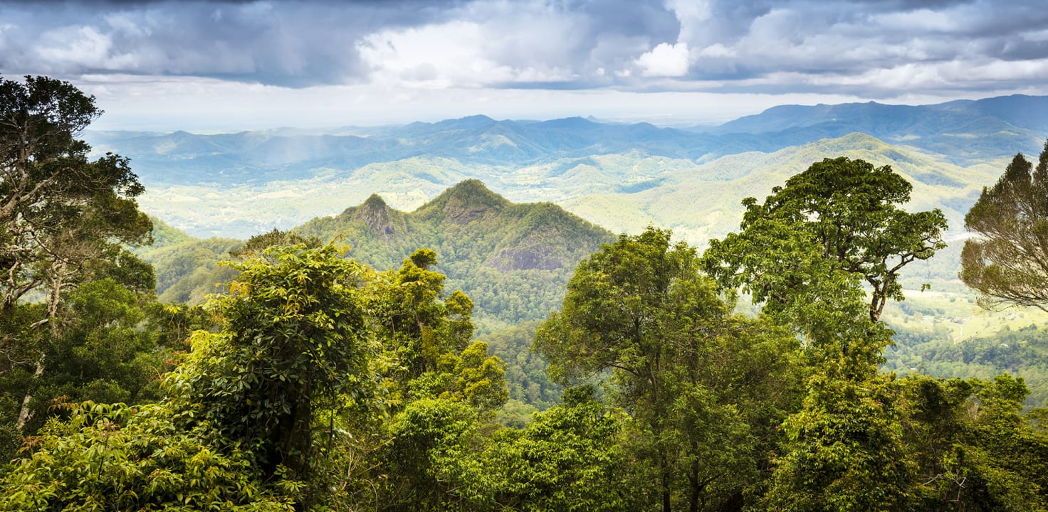 Abraza la majestuosidad de los Picos Verdes