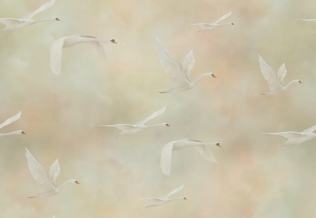 Graceful Flight: Embrace Elegance