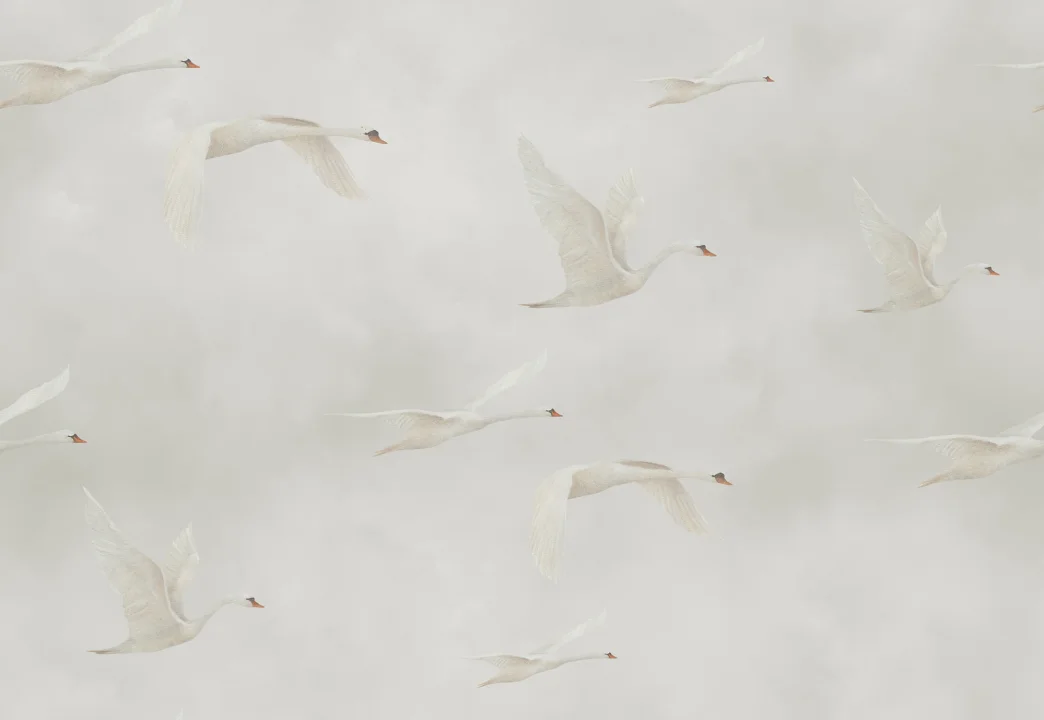 Graceful Swan Serenade