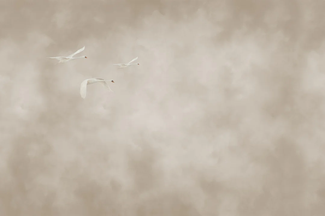 Ethereal Flight
