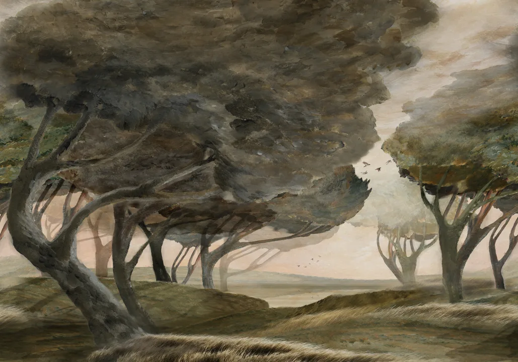 Embrace the Atmosphere of Windy Woods