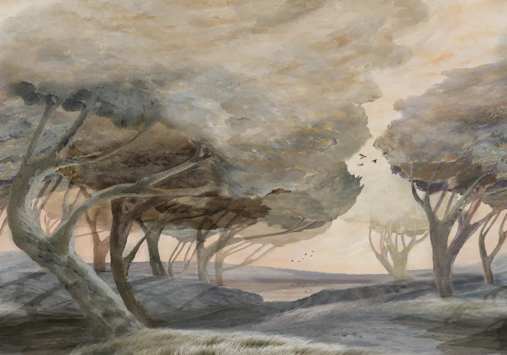 Fluisterende bomen: een uitje naar het winderige bos