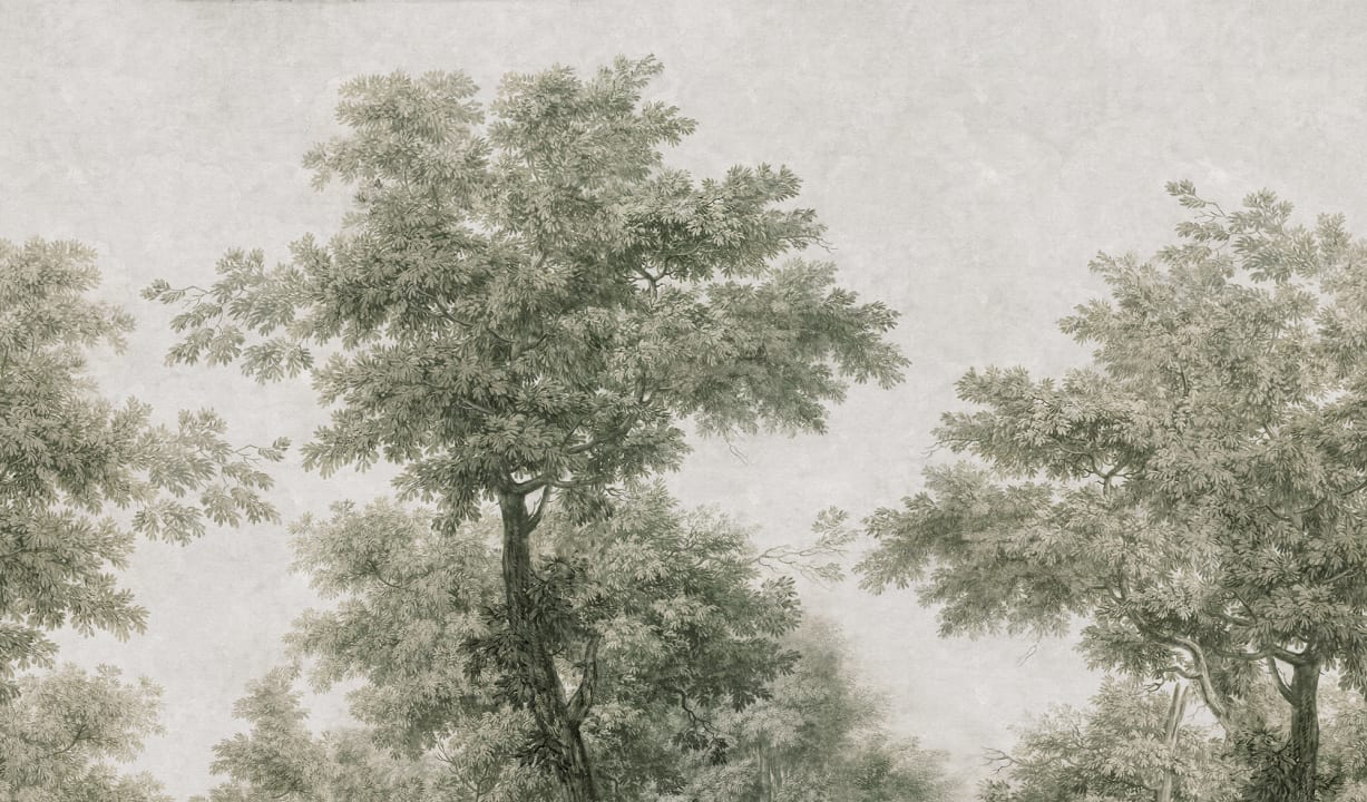Abraza la Naturaleza con Whispering Canopy