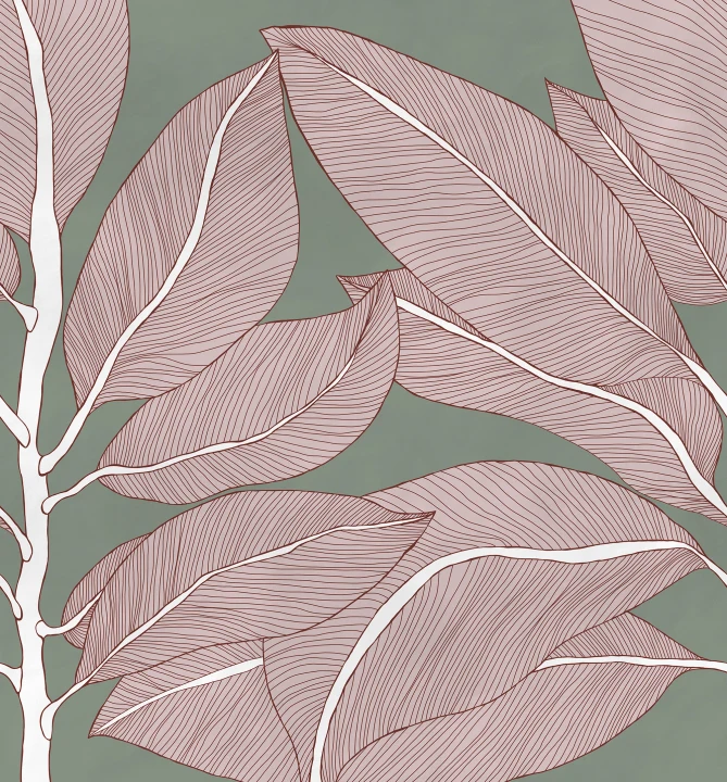 Discover Organic Elegance