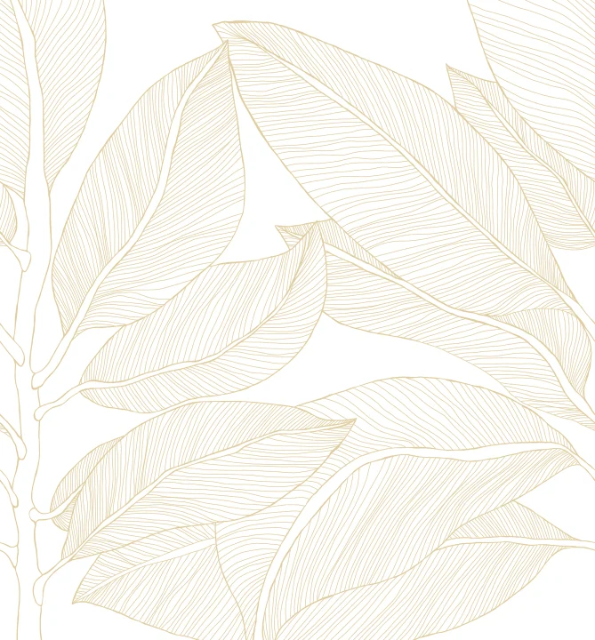 Omaksu luonnollinen eleganssi Ruby Lines