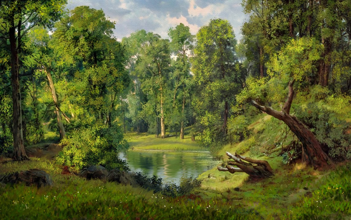 Embrace the Calm of Silent Forest