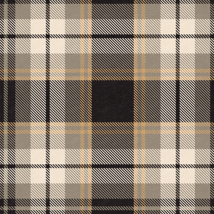 Tartan classique revisité avec une touche contemporaine