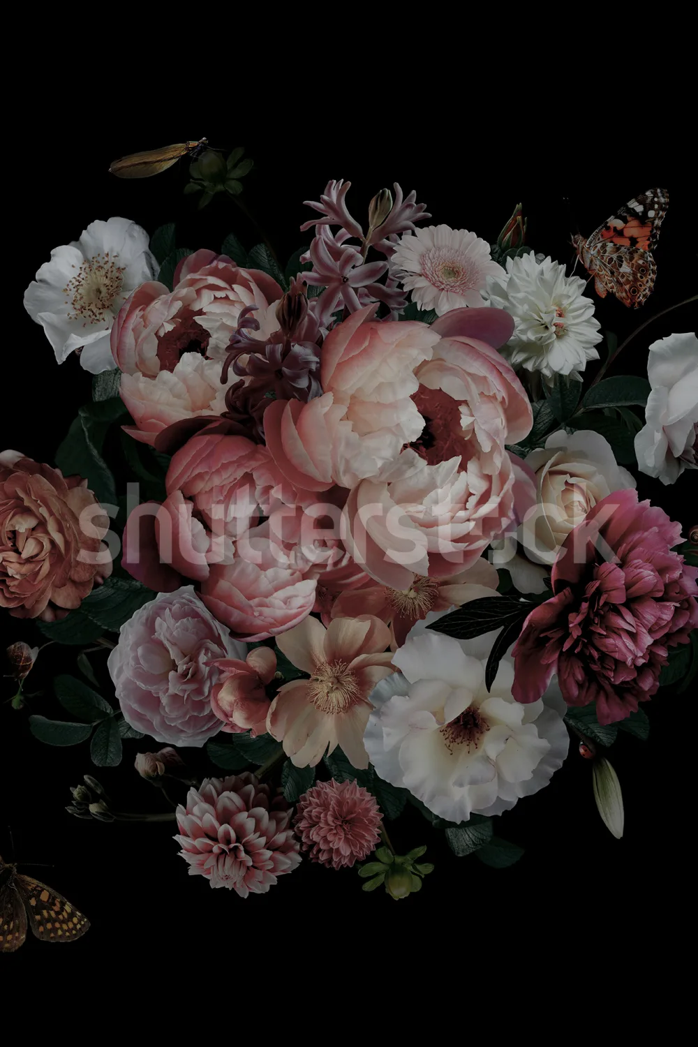 Flowers and butterflies