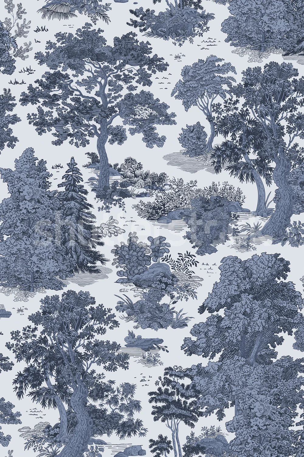 Enchanted Forest